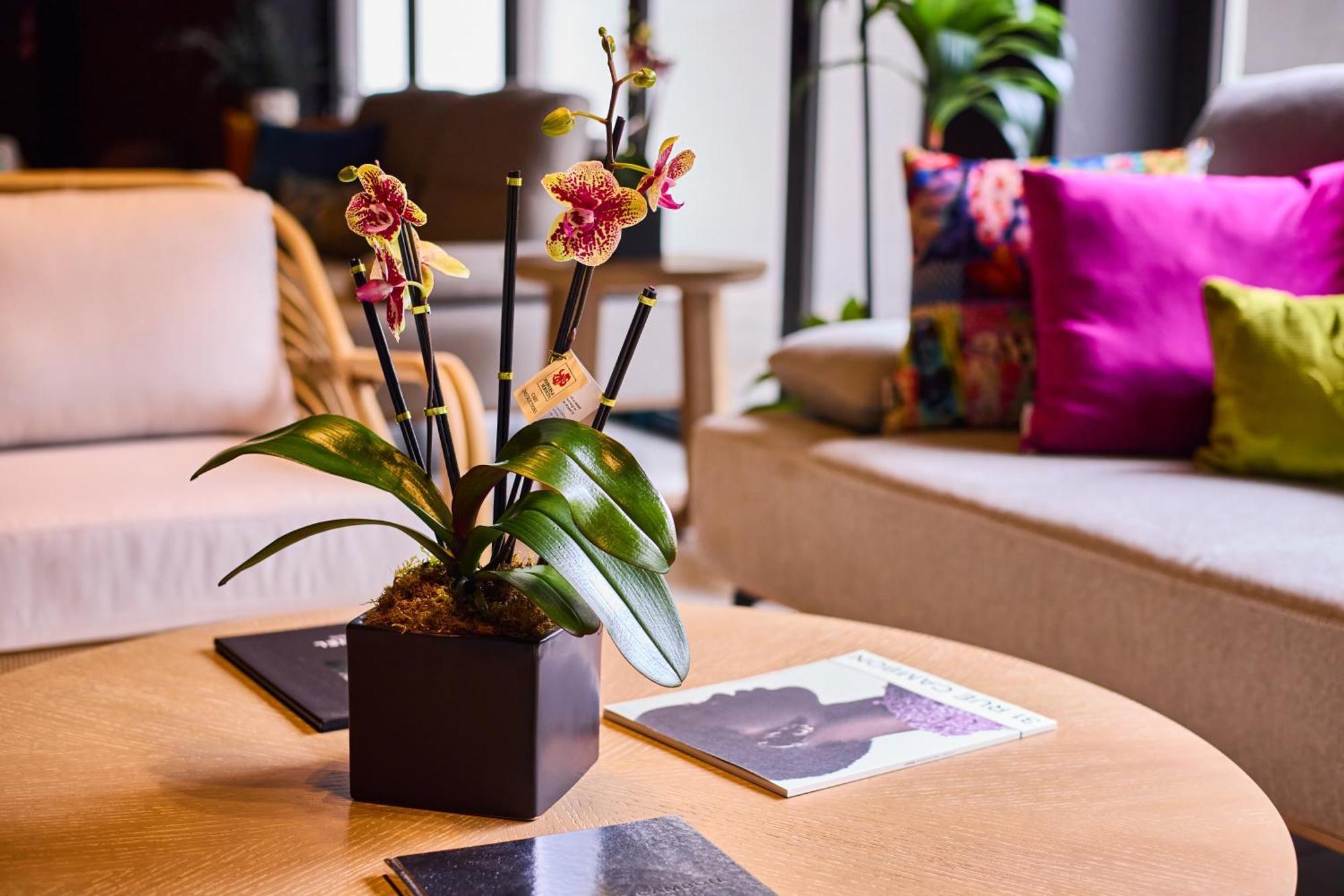 Ola Boutique Hotel Σαν Χουάν Εξωτερικό φωτογραφία